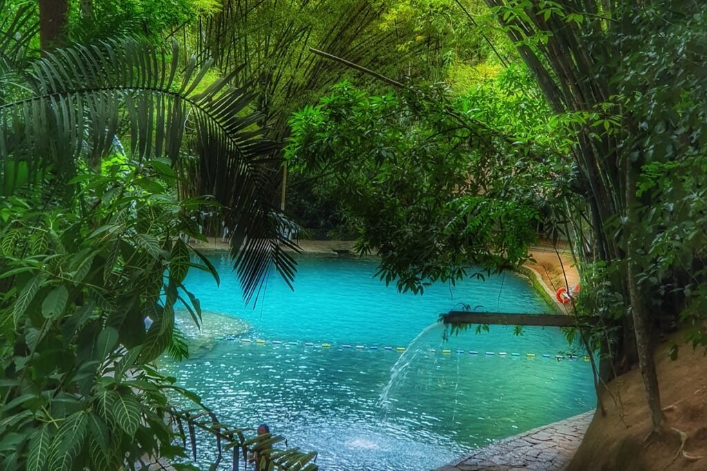 As melhores opções de ecoturismo em Alagoas