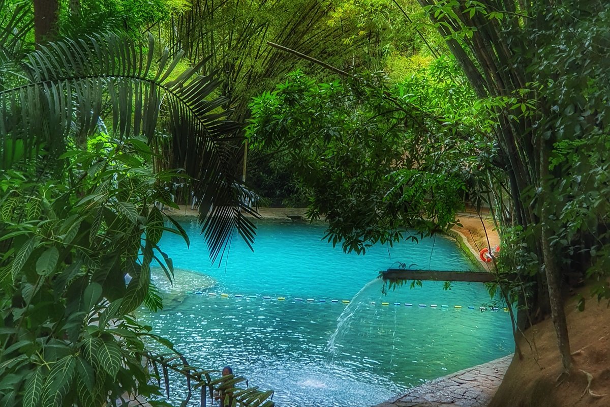 As melhores opções de ecoturismo em Alagoas