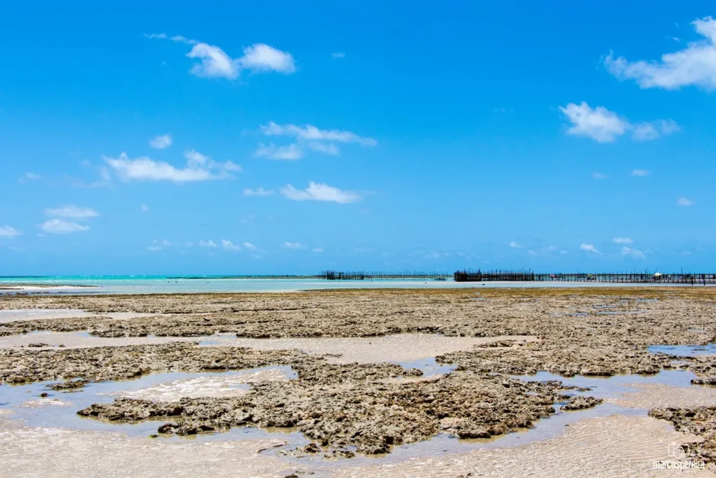 São Miguel dos Milagres: dicas de praias e pousadas