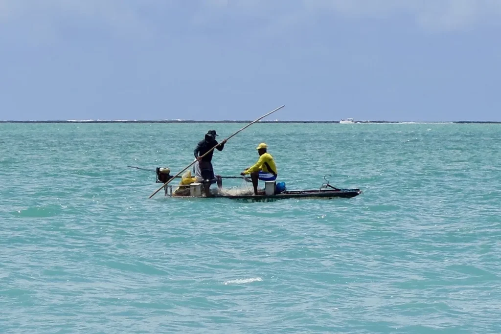 Explore as praias de Alagoas desconhecidas