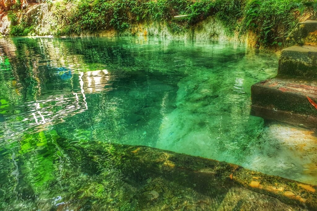 As melhores opções de ecoturismo em Alagoas