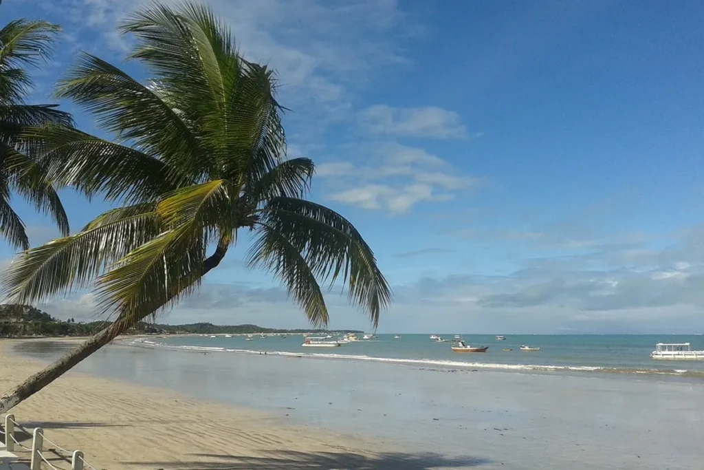 Os segredos das piscinas naturais de Maragogi Galés