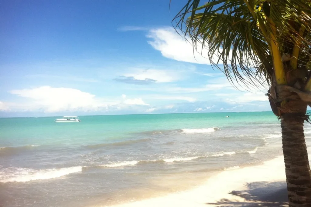 Explore as praias de Alagoas desconhecidas