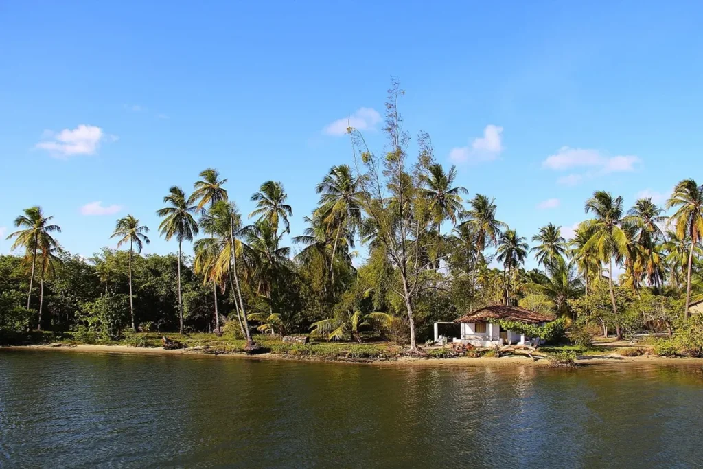 Lagoa do Mundaú: uma das mais grandiosas de Alagoas