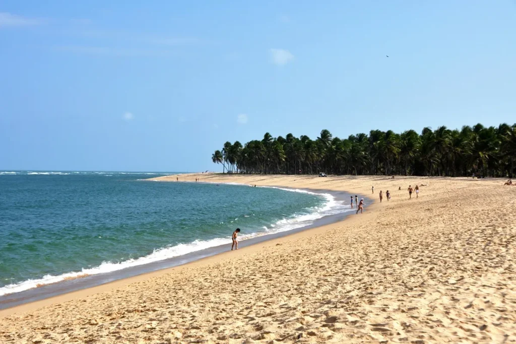 Praia do Gunga: uma das mais belas de Alagoas