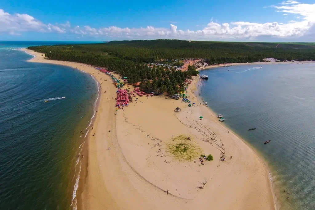 Praia do Gunga: uma das mais belas de Alagoas