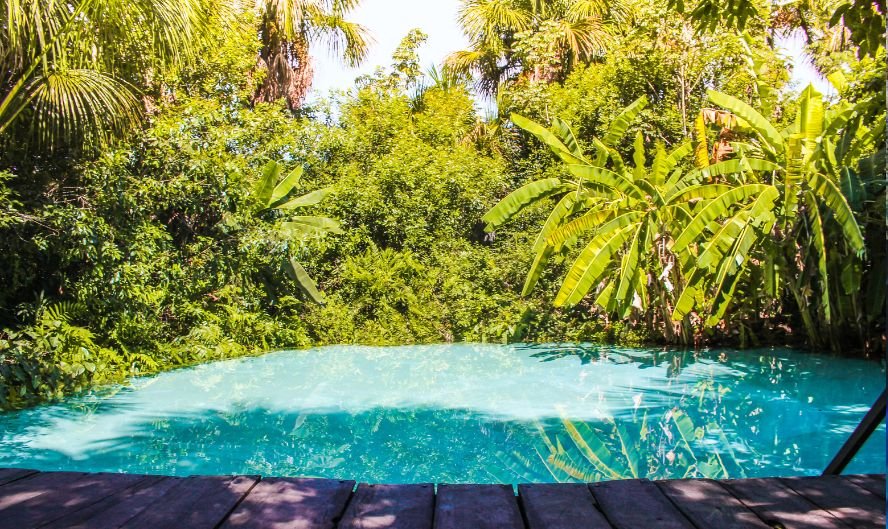 Jalapão (TO) - CONHEÇA PIRANHAS