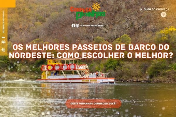 Os melhores passeios de barco no nordeste: como escolher o melhor? - Conheça Piranhas